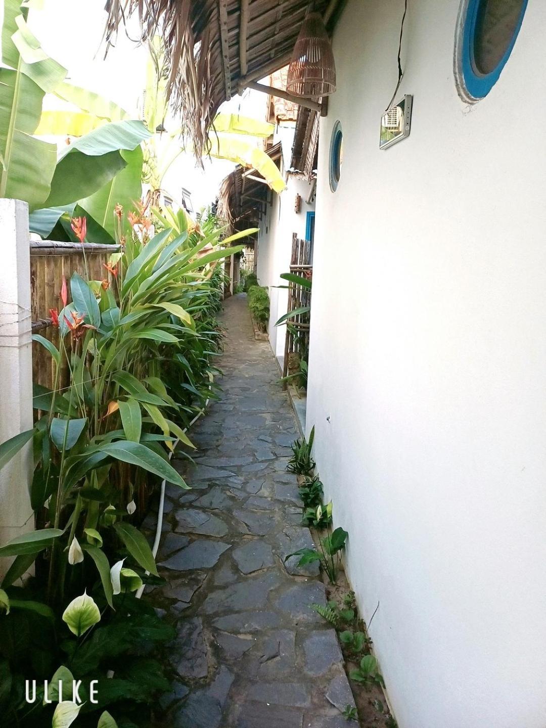 Cashew Tree Bungalow Hoi An Exteriör bild