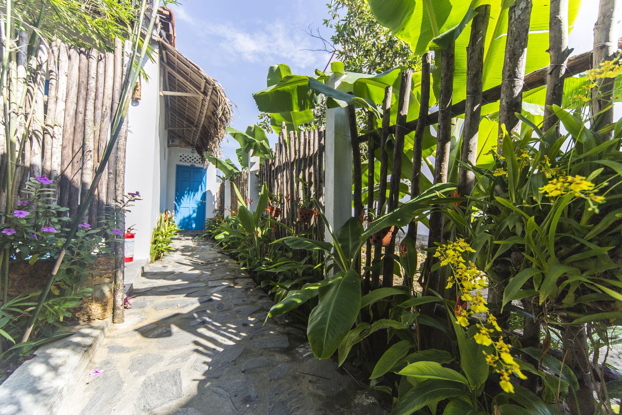 Cashew Tree Bungalow Hoi An Exteriör bild
