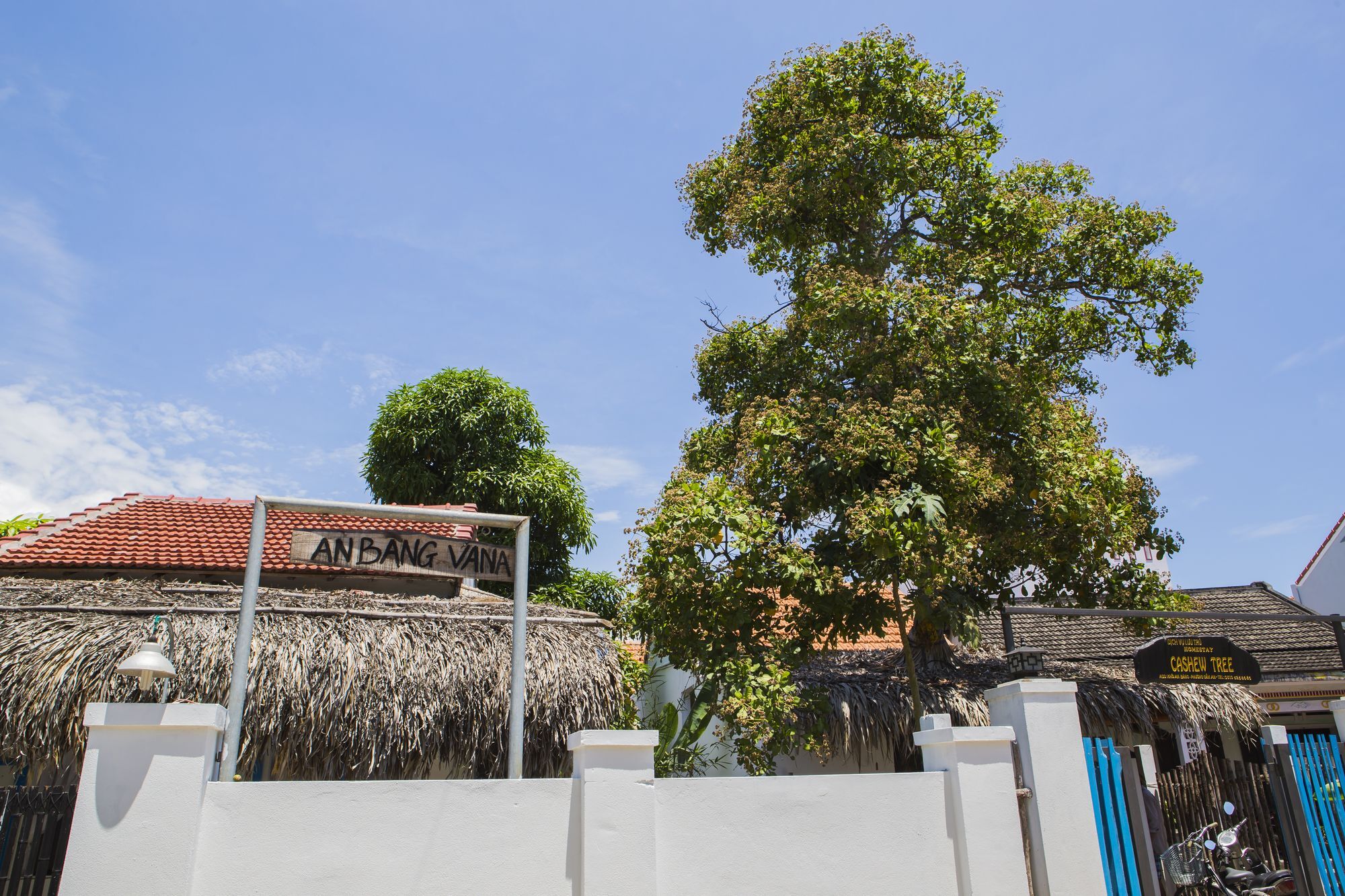 Cashew Tree Bungalow Hoi An Exteriör bild