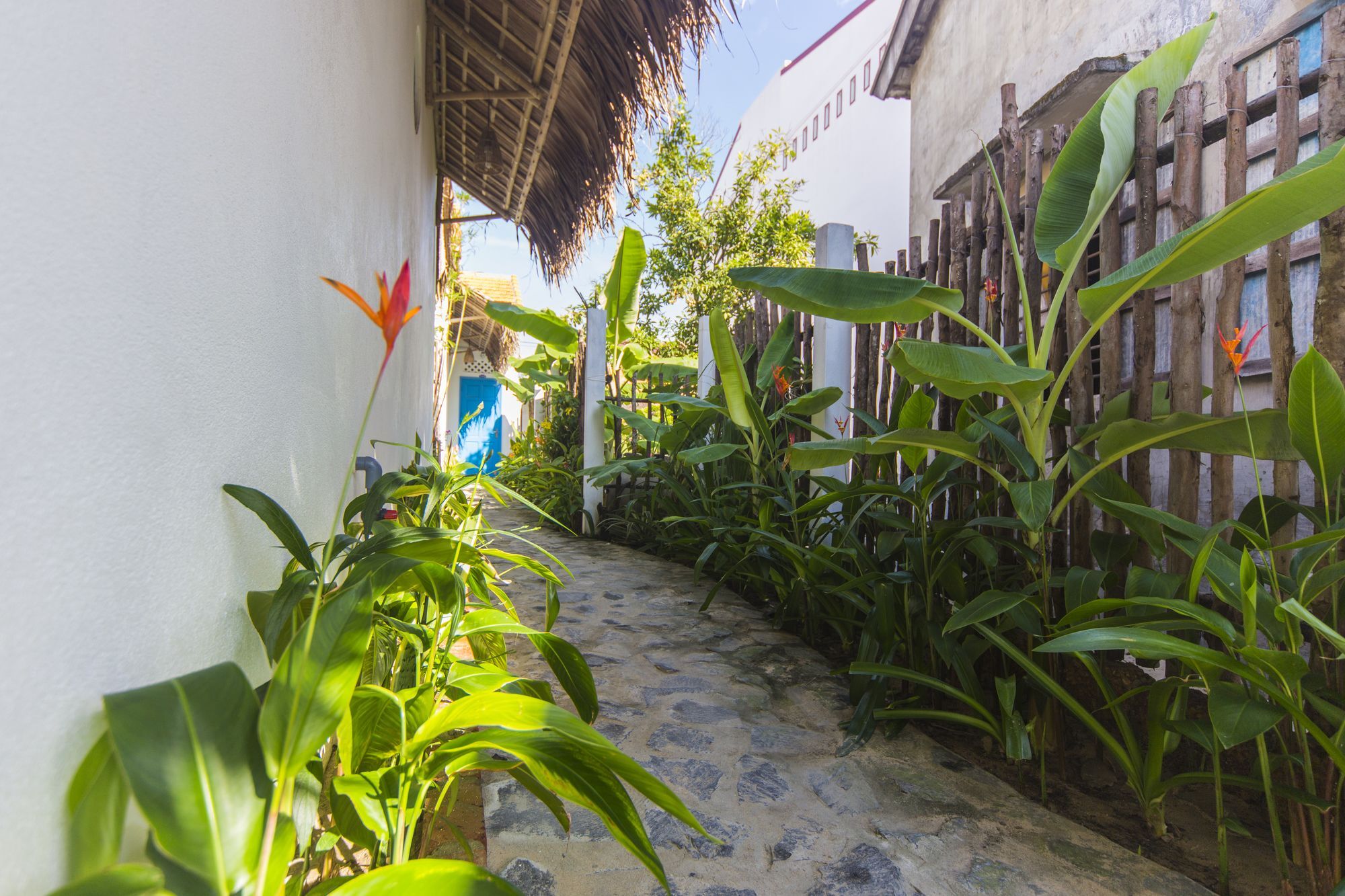 Cashew Tree Bungalow Hoi An Exteriör bild
