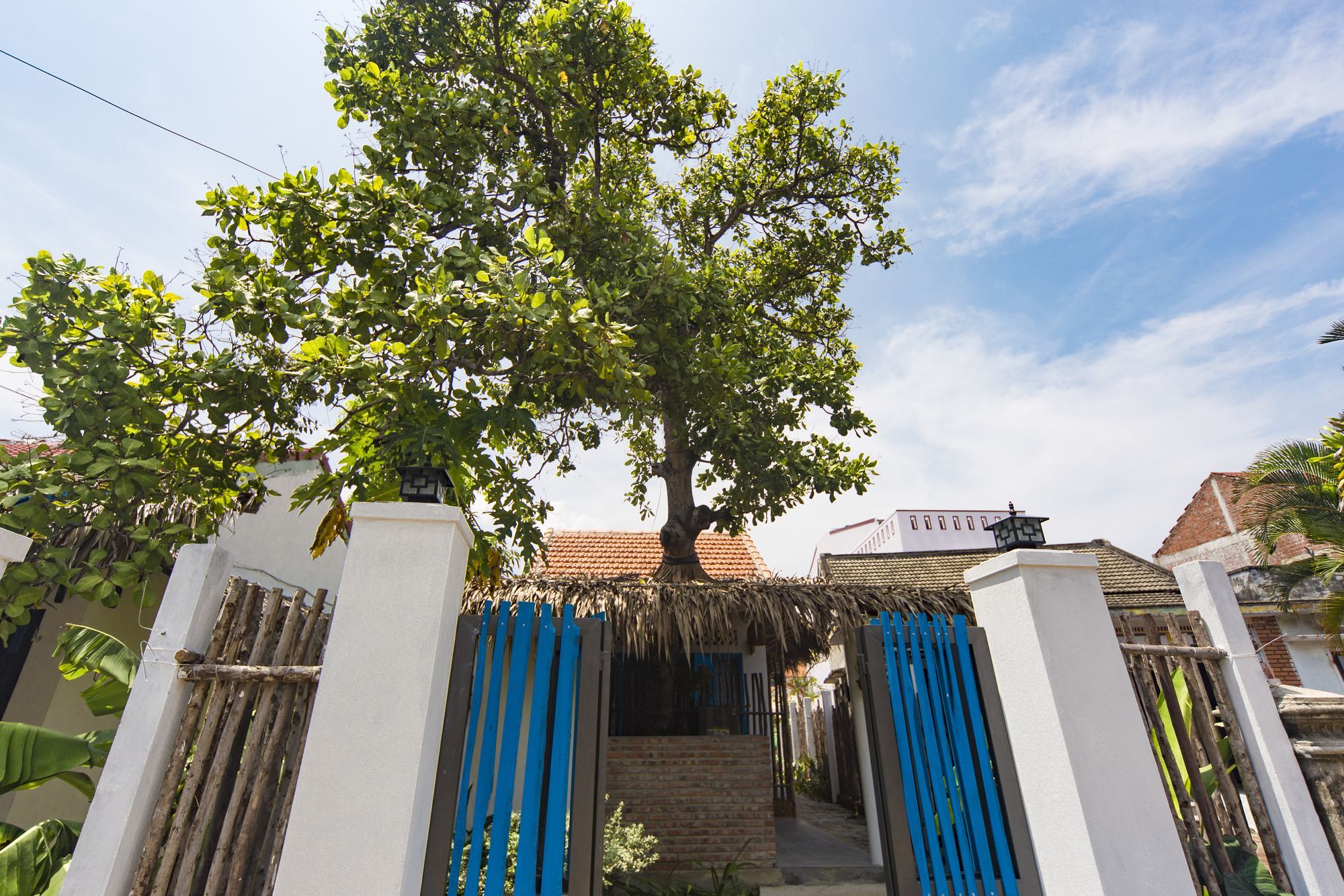 Cashew Tree Bungalow Hoi An Exteriör bild